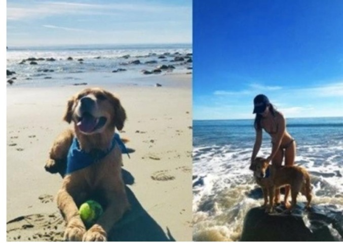 다니엘헤니결혼