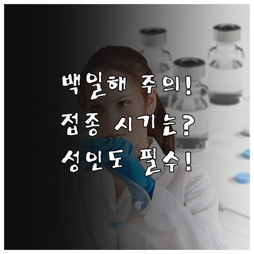 초등학생 백일해 6차 추가 접종 시기..