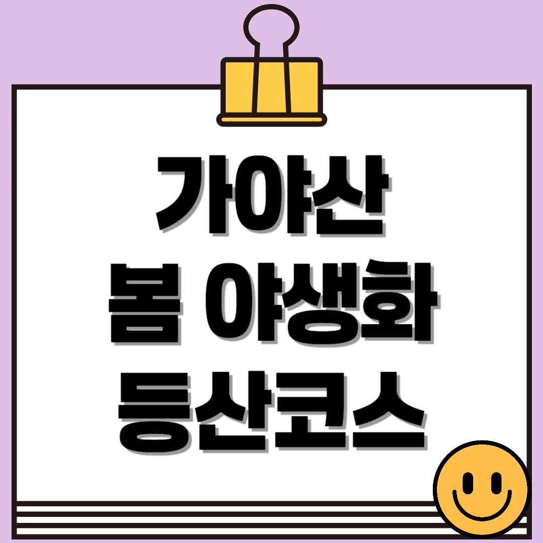 가야산 야생화 봄 산행🌸 등산코스부터 야생화식물원까지!