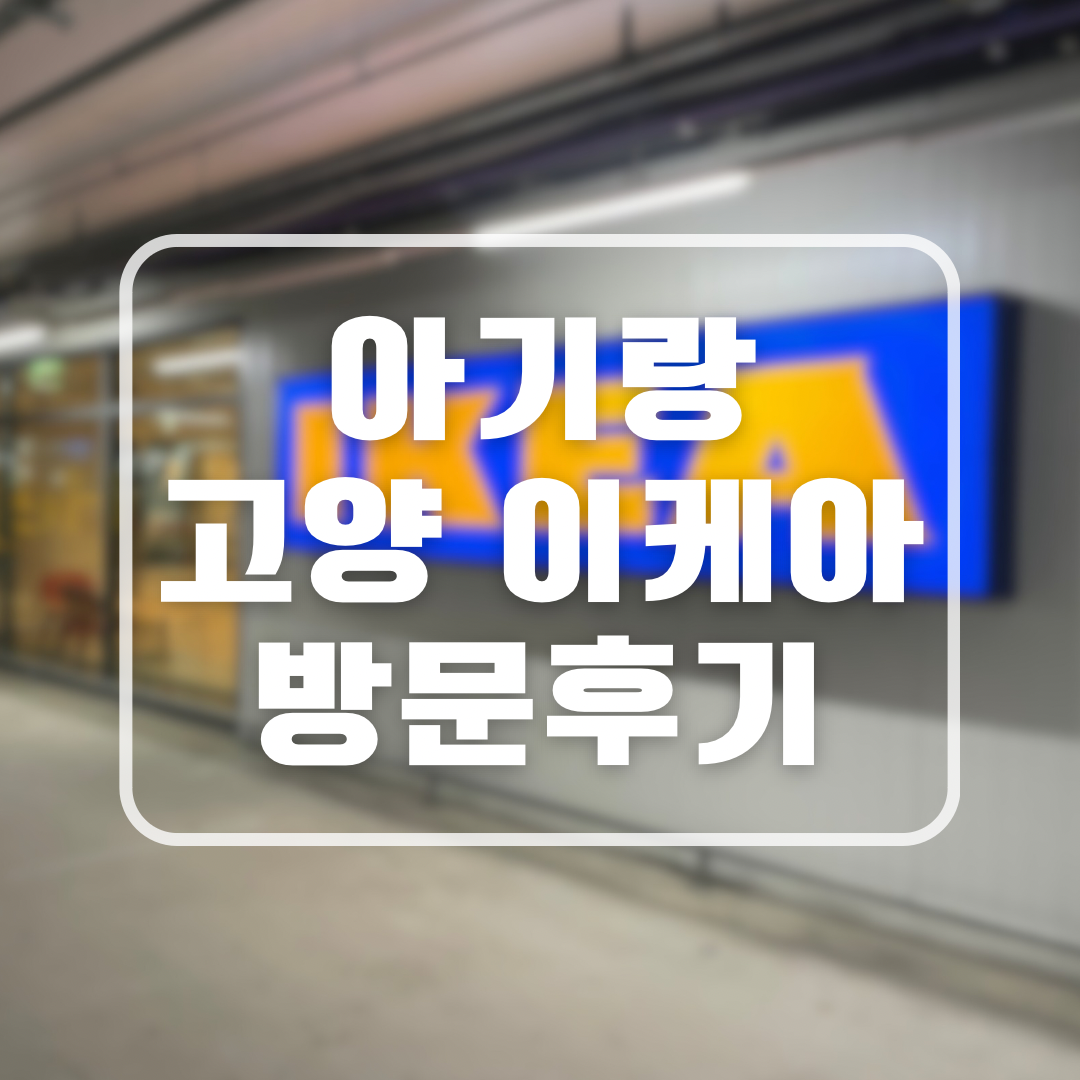 고양 이케아