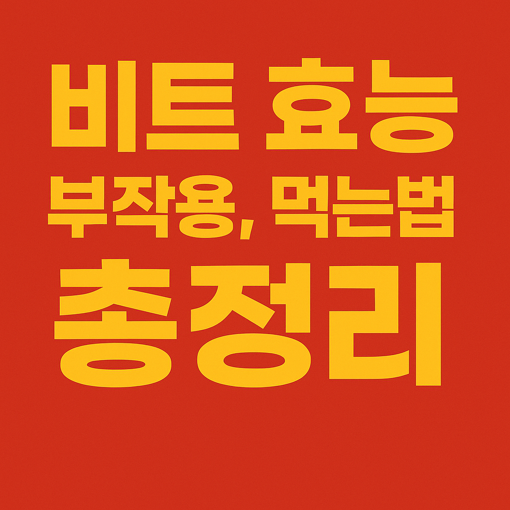 비트 효능, 부작용, 먹는법 총정리