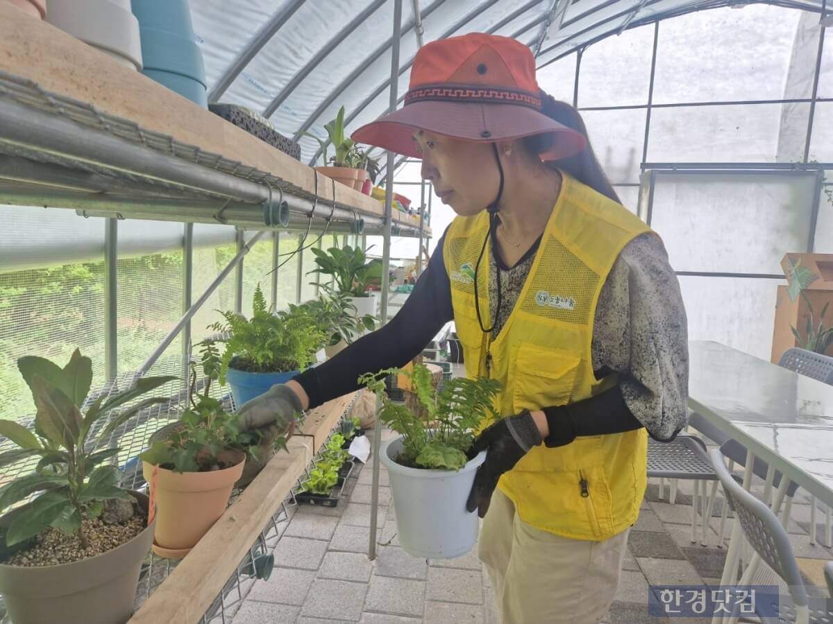 서울시 반려식물 클리닉 신청방법 예약