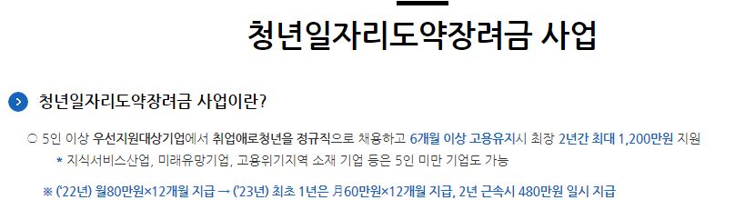 청년일자리도약장려금