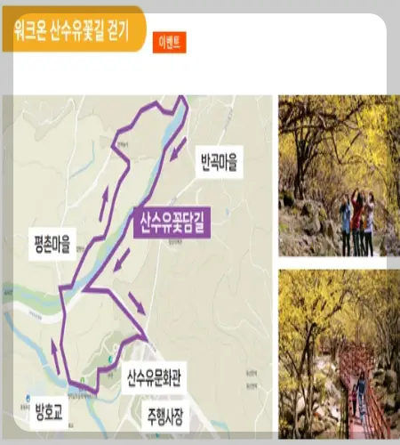 구례 산수유축제_15