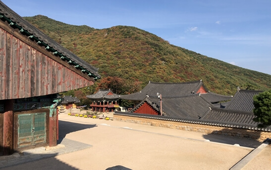 부산 범어사 : 하늘의 물고기가 노닐던 천년 도량의 역사와 미학 금정산 천년 고찰의 품격