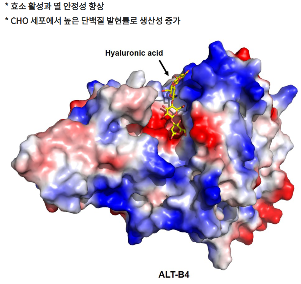 알테오젠 주가