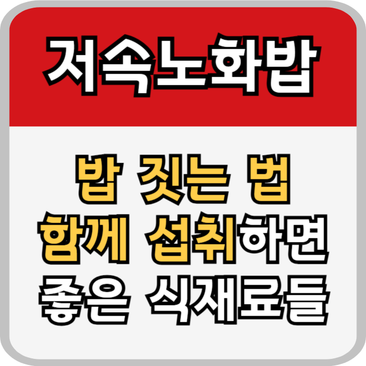 저속노화밥 레시피 일반밥솥 슬로우쿠커 추천 메뉴 식단 관련정보 안내