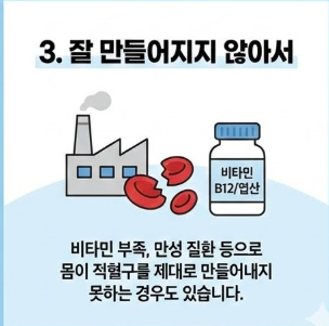 빈혈에 좋은 음식