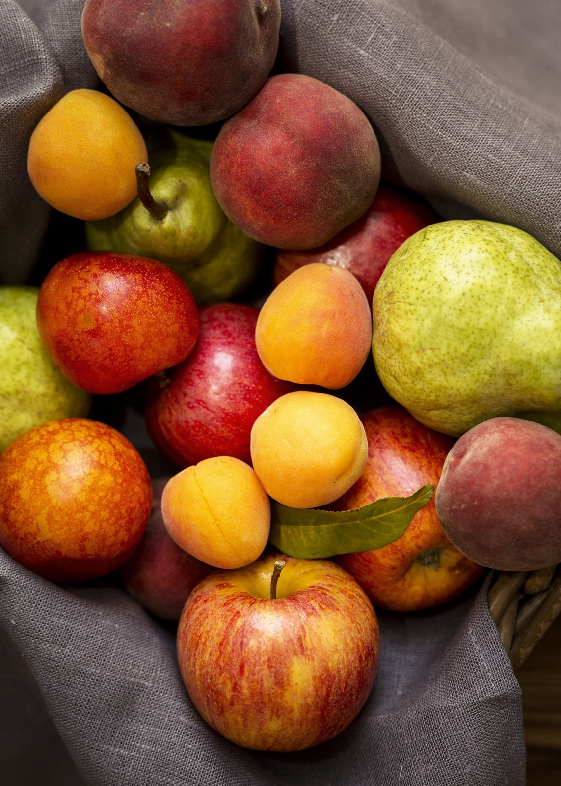 가정보육 어린이 건강과일 지원 방법(경기도)