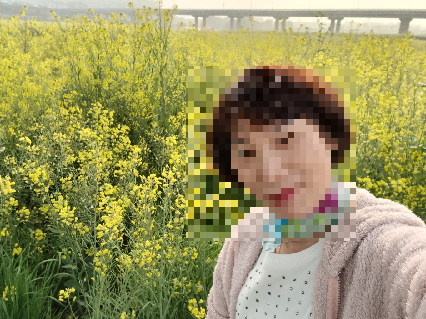 나주 영산강 유채꽃 대향연