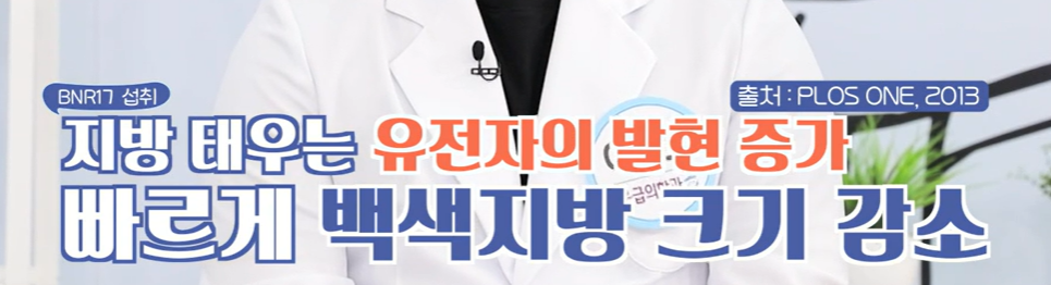 bnr17유산균 효능