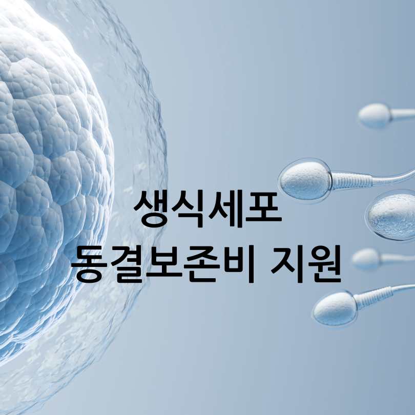 2025년출산양육지원
