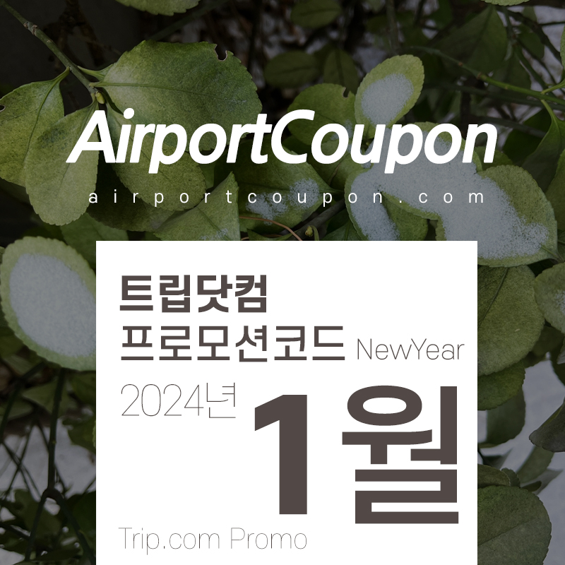 트립닷컴 1월 프로모션코드 갑진년 새해세일 프로모션 설날 특가 호텔예약 Trip.com Promo 2024