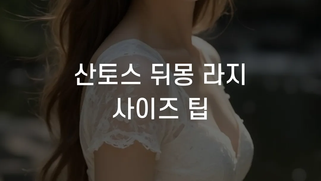 산토스 뒤몽 라지 사이즈 팁