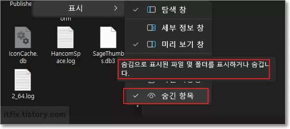 윈도우11 폴더옵션 파일숨김 해제