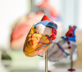 고혈압 증상 원인 예방법 생활습관