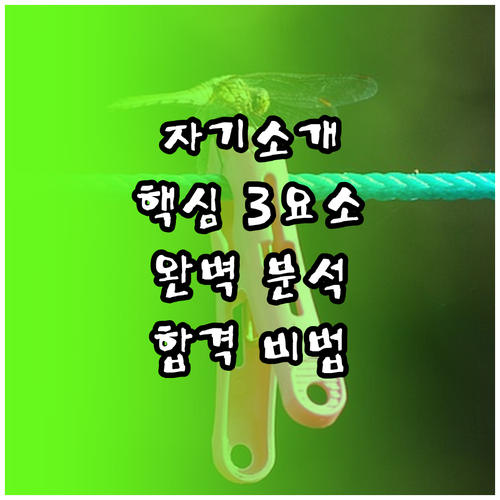 자기소개 핵심 3요소: 정체성, 역량..