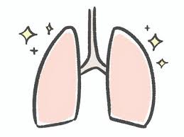 폐에 물이 차는 원인