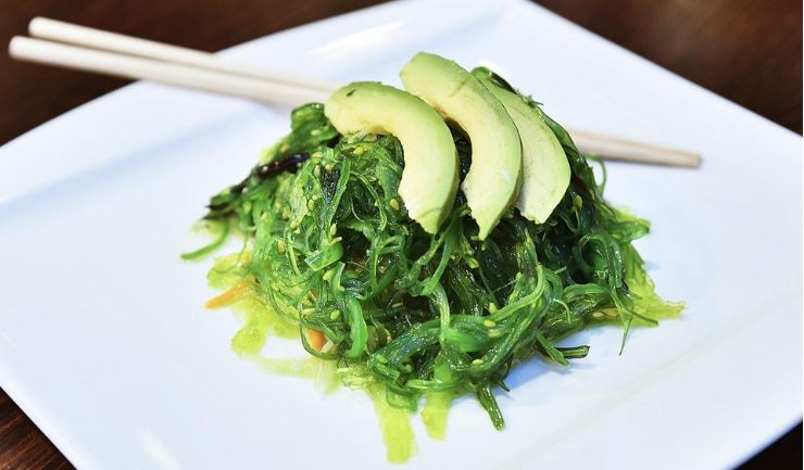 갑상선항진증 VS 갑상선저하증 차이 관련 사진