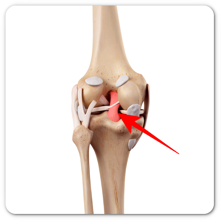 무릎 통증 원인 7가지 총정리