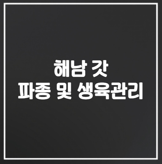 갓 파종과 생육 관리
