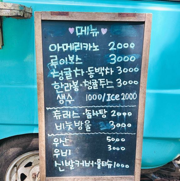 제주 비밀의숲