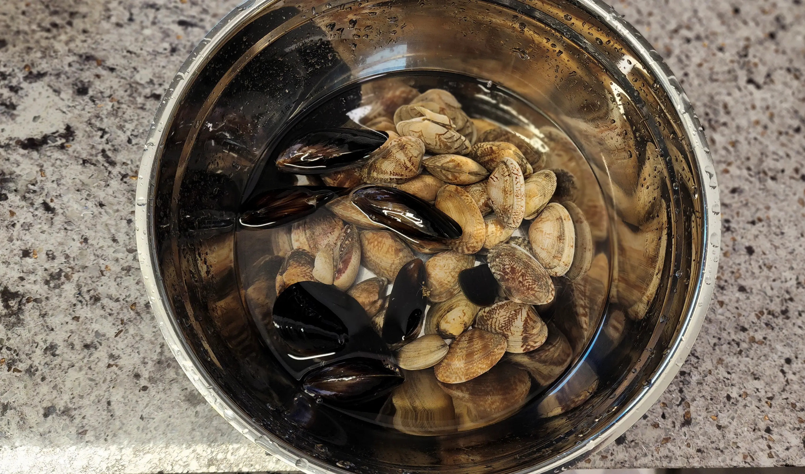 해감-후-물에-담가져있는-홍합과-바지락