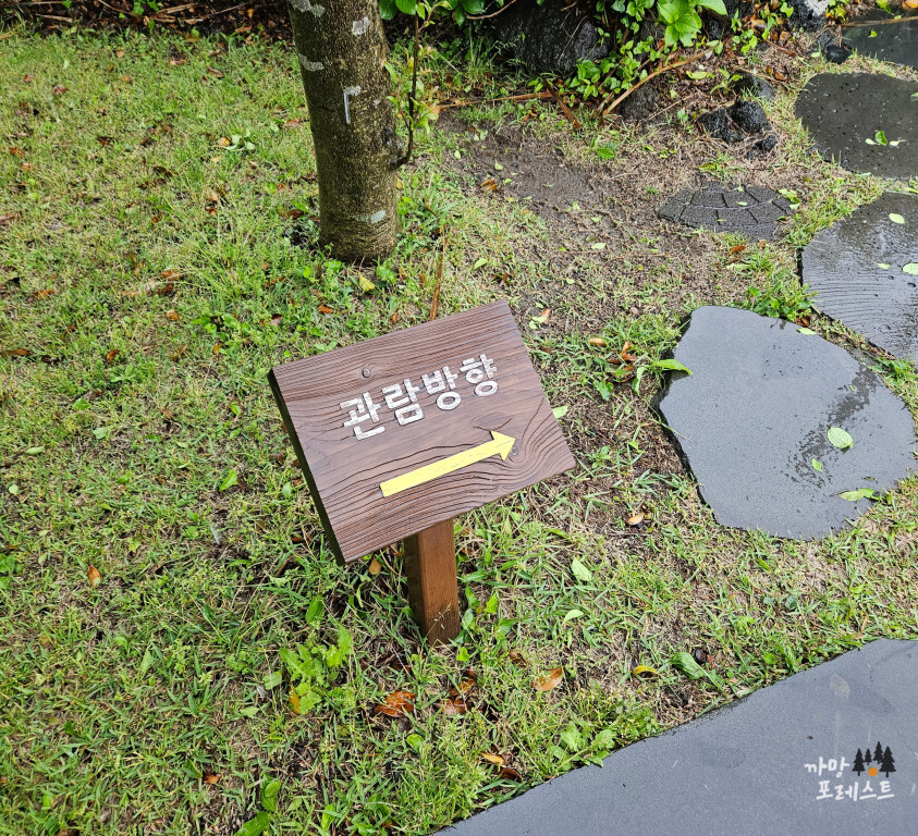 제주 방주교회 관람방향