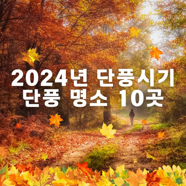 2024년 단풍시기