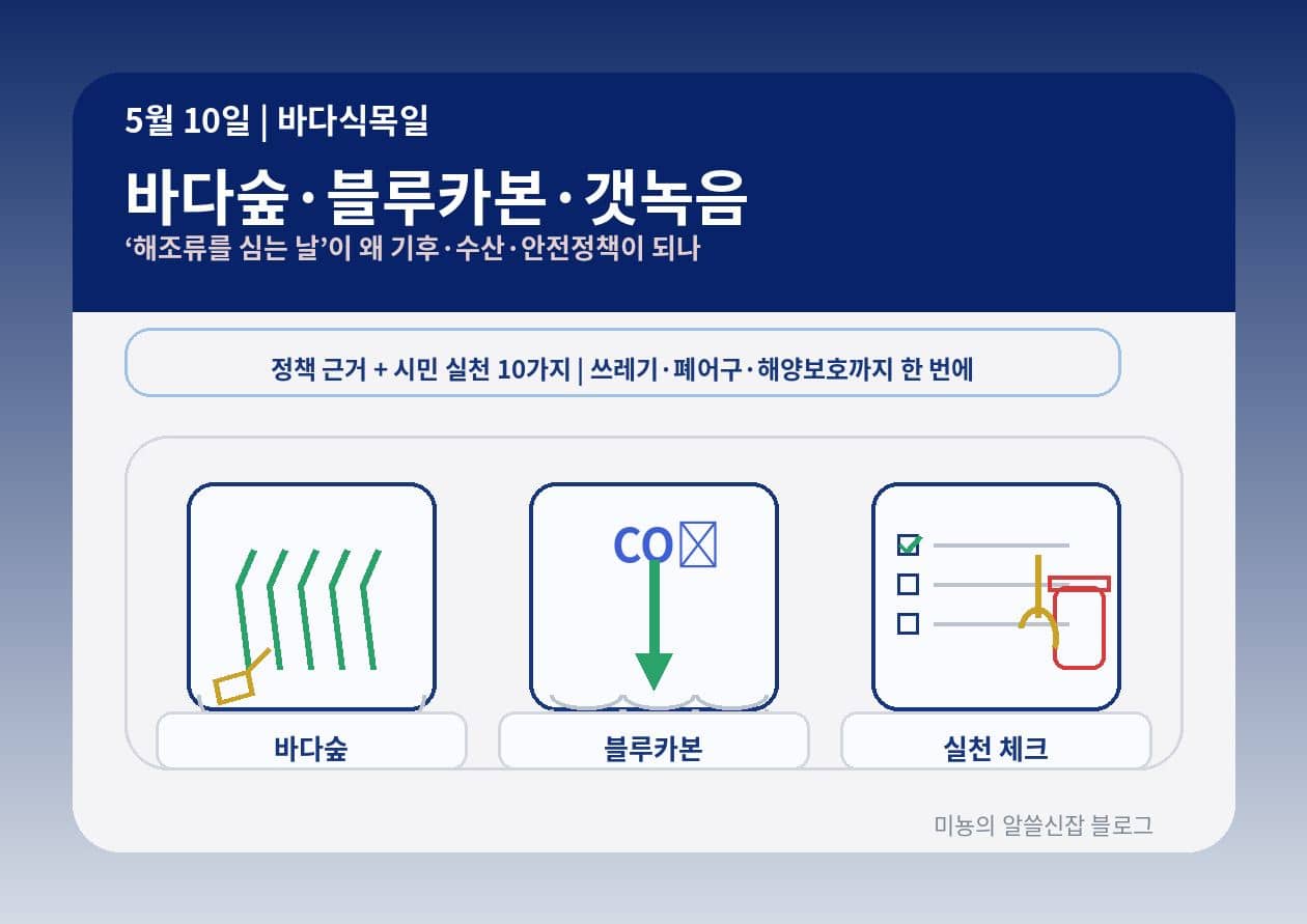 5월 10일 바다식목일|'해조류를 심는 날'이 왜 기후·수산·안전 정책이 되었나