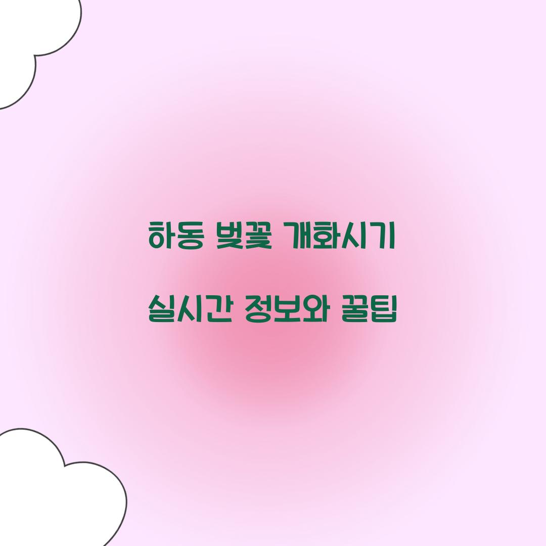 하동 벚꽃 개화시기