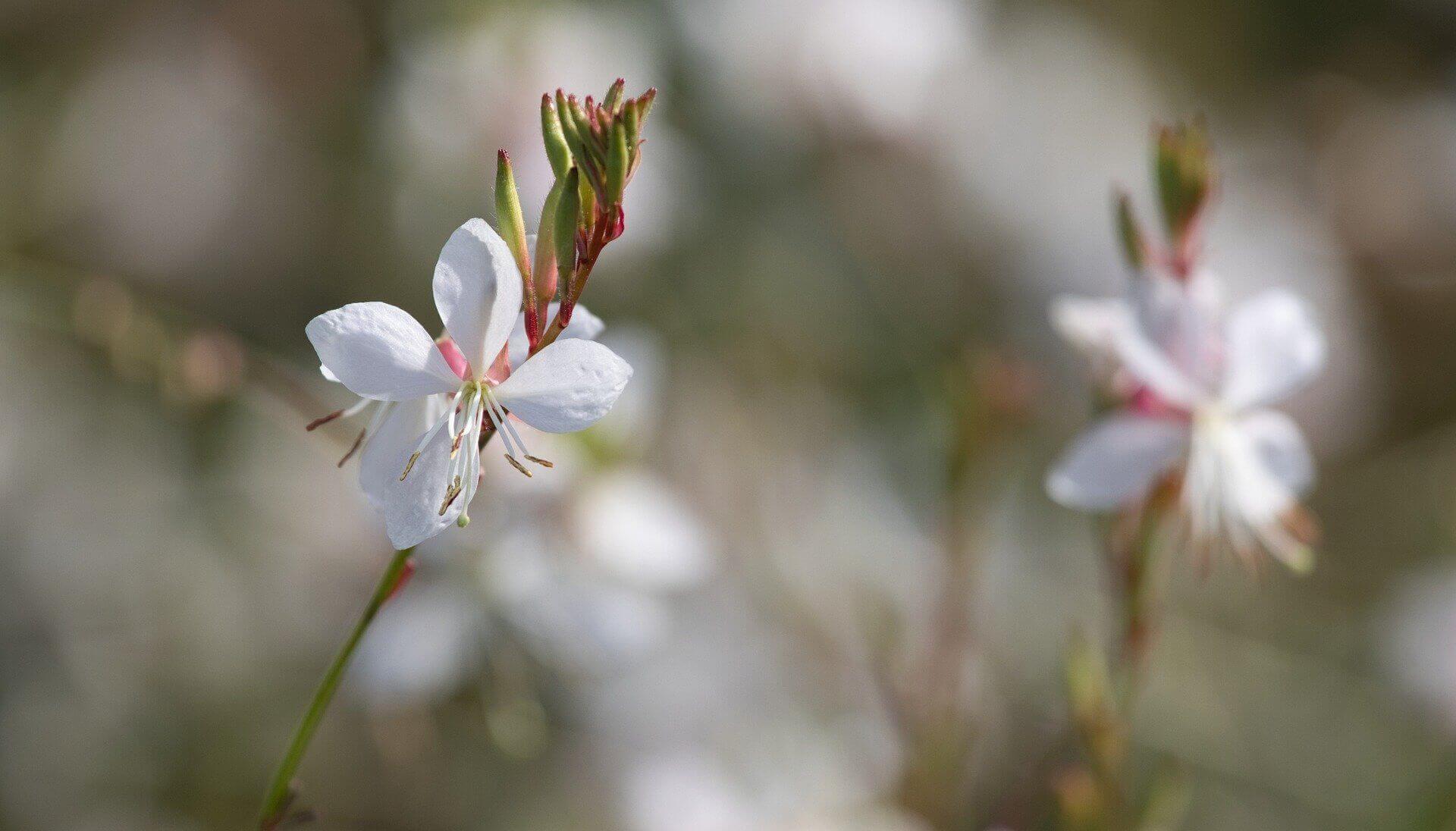 국민연금 수령 나이와 예상 수령액 확인