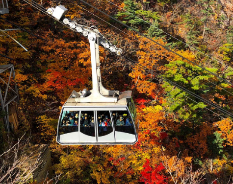 속초 가볼만한곳