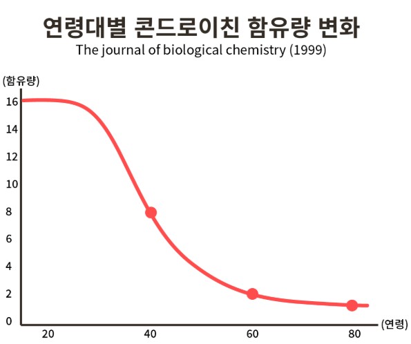 콘드로이친-효능-효과