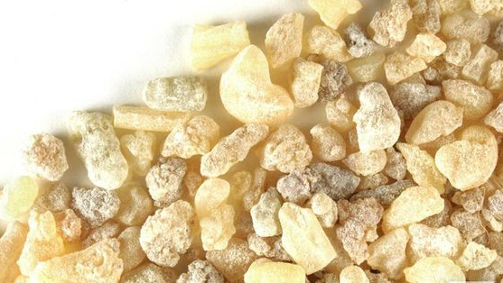 보스웰리아 세라타(Boswellia serrata)