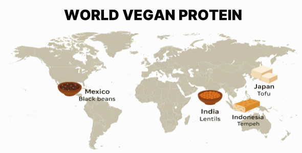 비건 단백질은 전략이 필요할 뿐 불완전하지 않다