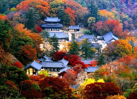 공주 마곡사 서울에서 대중교통으로 가기 마곡사 전경