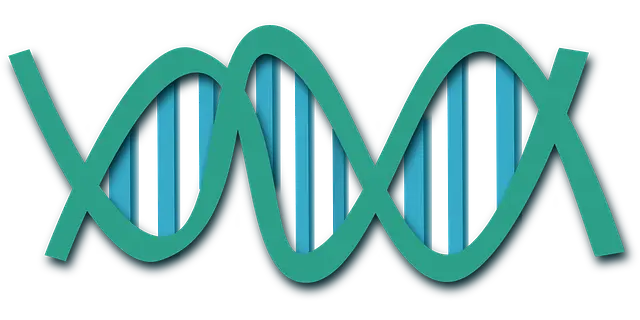 영양제 먹는 시간 순서 시간 간격