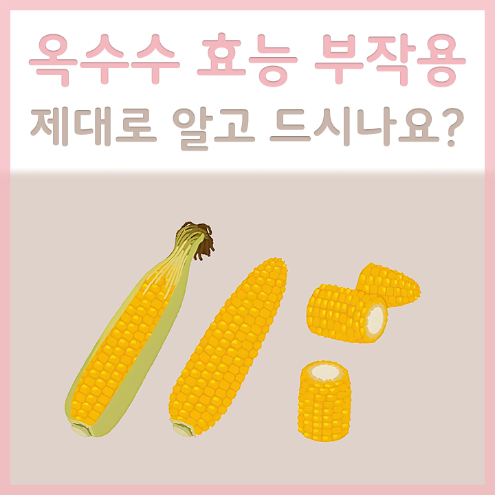 옥수수