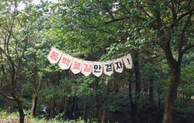 2024 봄축제 가볼 만한 곳