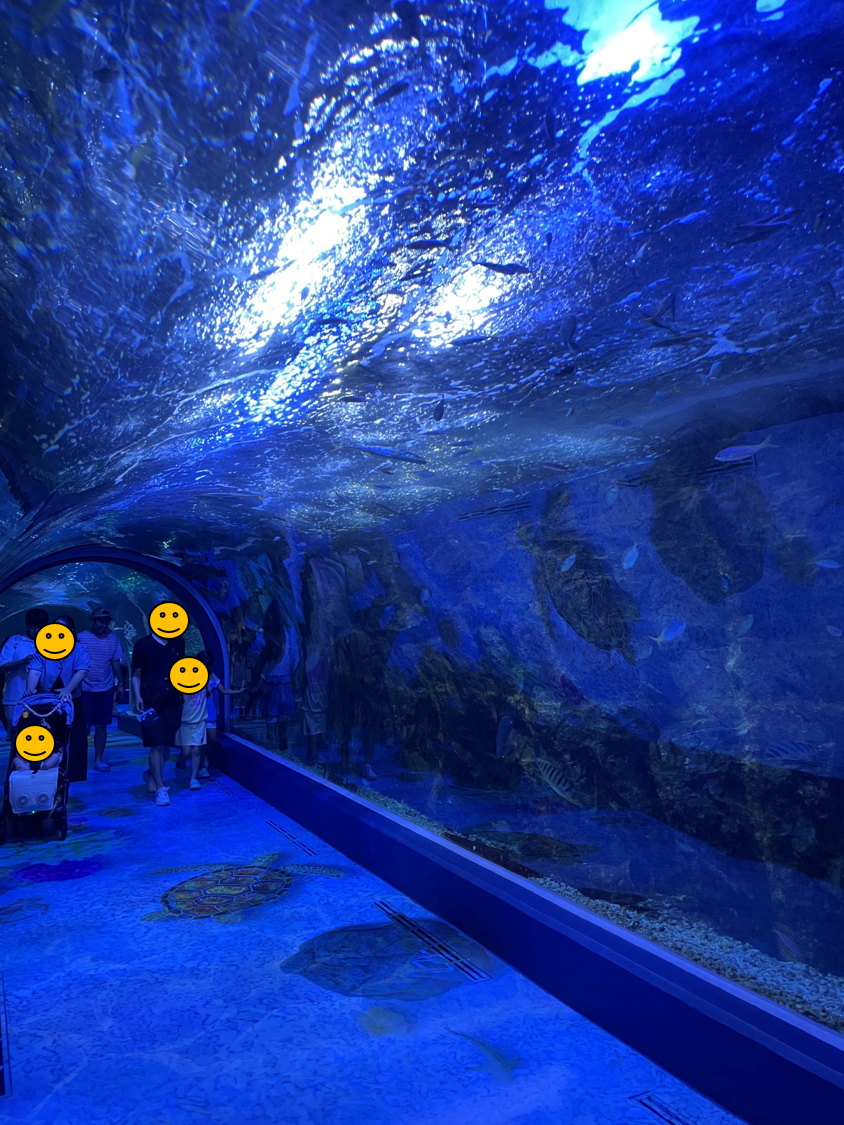 여수 아쿠아플라넷