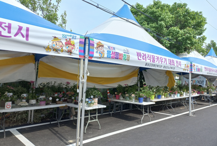 2025 음성품바축제 셔틀버스 운행정보 총정리 (+정류장 위치&amp;#44; 시간표&amp;#44; 탑승 팁까지)