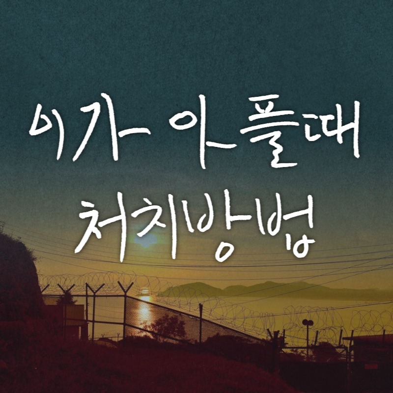 이가 아플때 처치방법