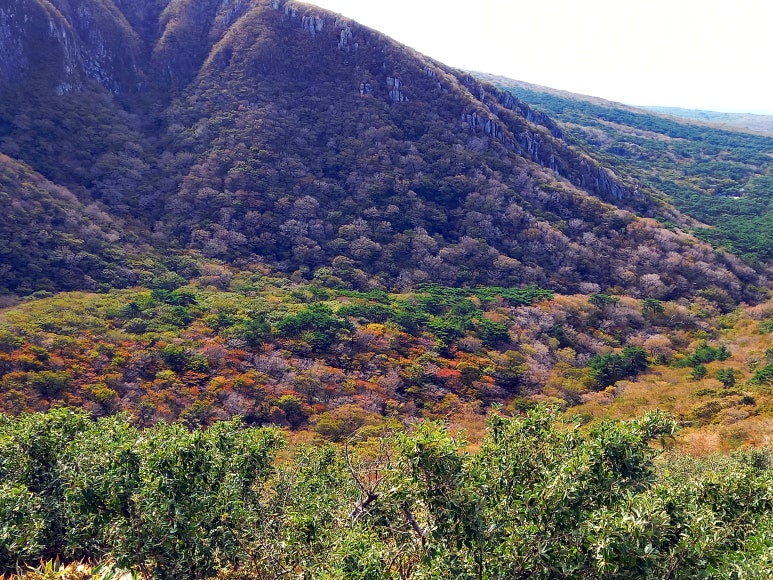 영실 탐방로(윗세오름)