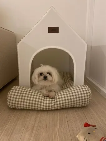 강아지 집 추천 하우스 켄넬 종류 순위_14