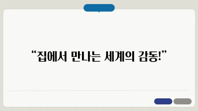 온라인 세계여행 체험