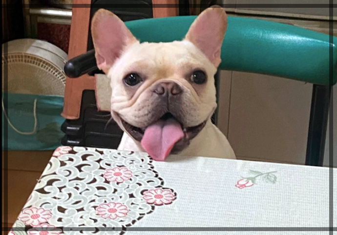 주인이 없을 때