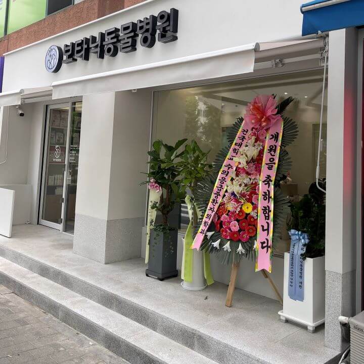 양천향교역-동물병원-보타닉동물병원-개원