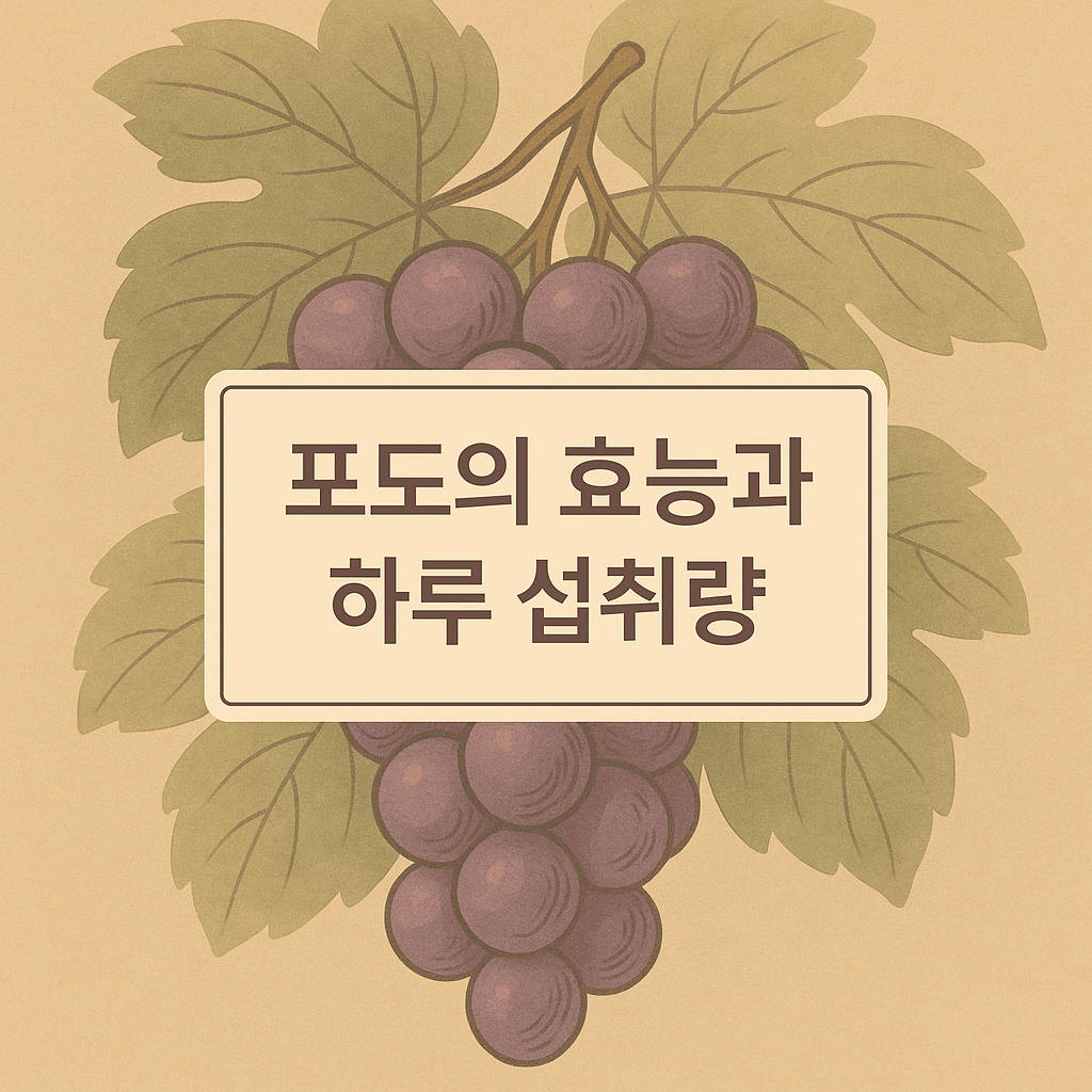 포도 효능과 하루 섭취량