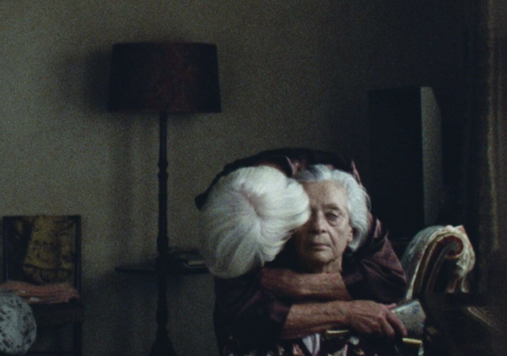 언데드 다루는 법 포토